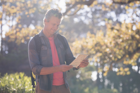 Mature man reading map in forest on sunny dayの写真素材