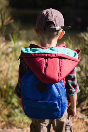 Rear view of elementary hiker standing in forestの写真素材