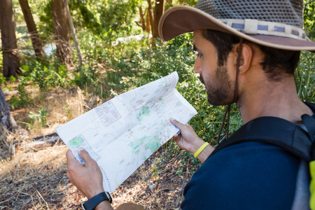 Man reading the map in the forest on a sunny day