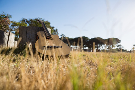 Acoustic guitar in the park on a tree stumpの写真素材