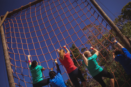 Group of fit woman climbing a net during obstacle course training in the boot camp
