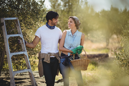 Smiling young couple standing by ladder at olives farmの写真素材