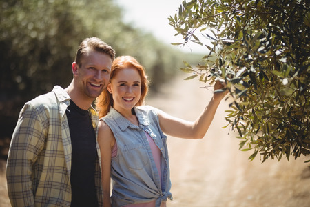Portrait of smiling young couple standing by olive tree at farmの写真素材