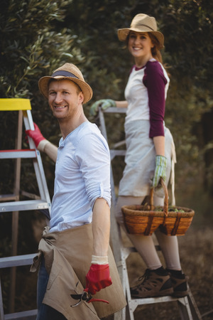 Portrait of smiling young couple with ladders standing at olive farmの写真素材