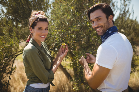 Portrait of smiling young couple holding olive tree at farmの写真素材