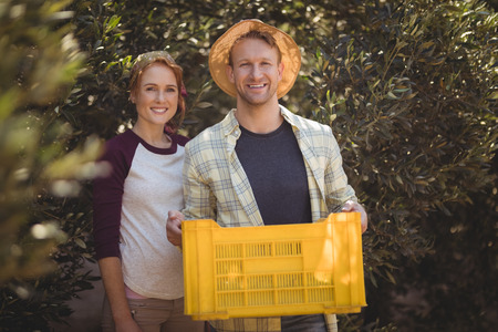Portrait of happy man holding crate with woman at olive farm on sunny dayの写真素材