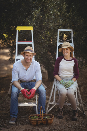 Portrait of smiling young couple sitting on ladders at olive farmの写真素材