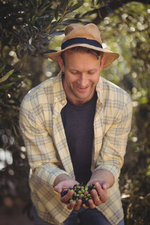 Young man holding olives while standing by trees at farmの写真素材