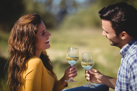 Happy young couple toasting wineglasses at farmの写真素材