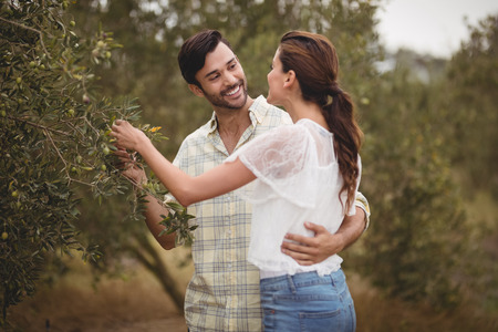Happy young couple embracing by olive trees at farmの写真素材