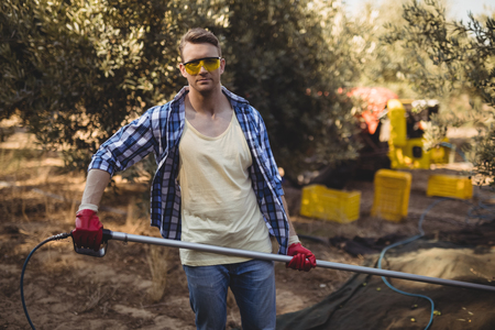 Portrait of confident young man using rake at olive farmの写真素材