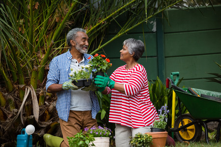 Senior couple looking at each other while planting together in backyardの写真素材
