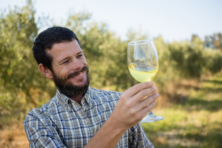 Smiling man looking at glass of wine in olives farm