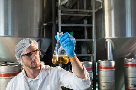 Scientist examining beer in beaker at factoryの写真素材