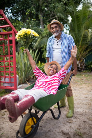 Senior man carrying woman in wheelbarrow while gardening at yardの写真素材