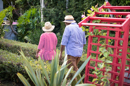 Rear view of senior couple wearing hats while walking in yardの写真素材