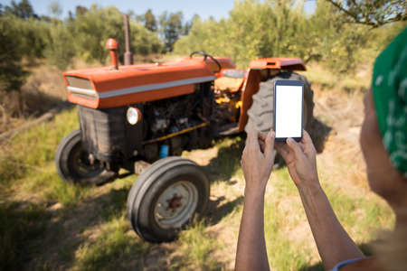 Woman using mobile phone in olive farm on a sunny dayの写真素材