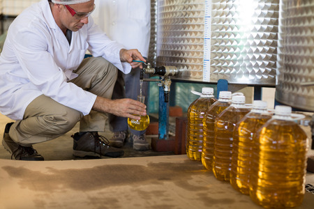 Technician examining olive oil in factory