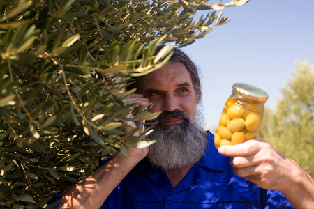 Man talking on mobile phone while examining pickled olive in farmの写真素材