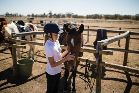 Girl caressing the brown horse in the ranch on a sunny dayの写真素材