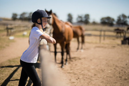 Girl leaning on the fence and looking at the horses on a sunny dayの写真素材