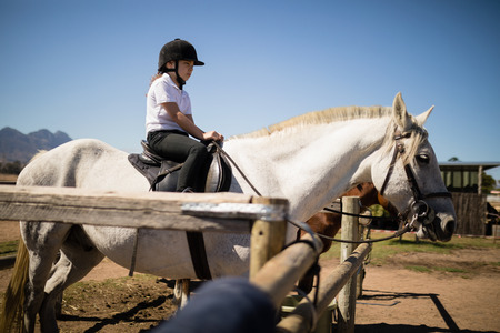 Girl sitting on the horse in the ranch on a sunny dayの写真素材