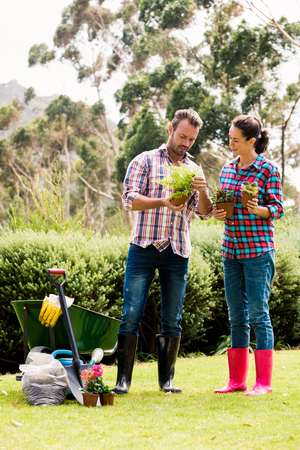 Full length of couple holding potted plants while standing against trees at lawnの写真素材