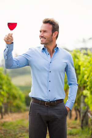 Smiling young man holding wineglass while standing at vineyardの写真素材