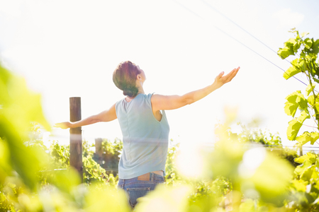 Rear view of woman with arms outstretched standing at vineyard on sunny dayの写真素材