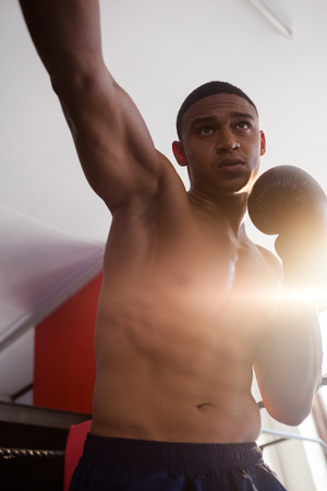 Determined man practicing boxing at fitness studioの写真素材