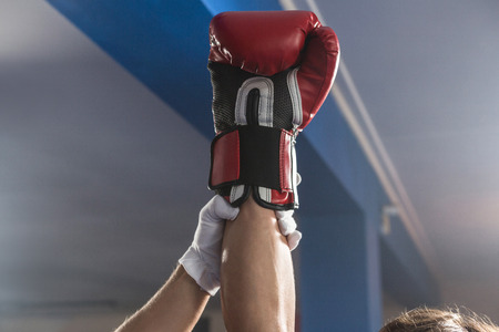 Referee holding hand of winning male boxer at fitness studioの写真素材