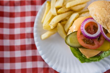Overhead view of cheeseburger in plateの写真素材