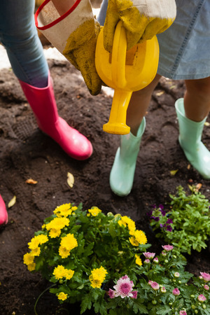 High angle view of mother and daughter watering yellow flowers at backyardの写真素材