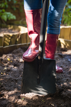 Low section of senior woman standing by shovel on dirt at backyardの写真素材