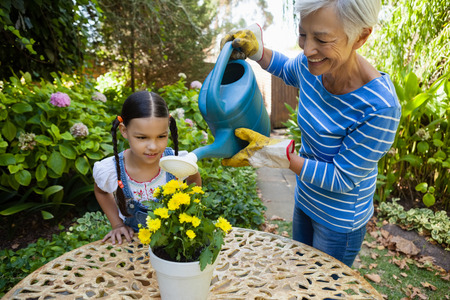 Girl looking while smiling senior woman watering yellow flowers on table in backyardの写真素材