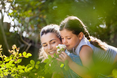 Girl smelling white roses while enjoying piggyback ride on mother in yard during sunny dayの写真素材