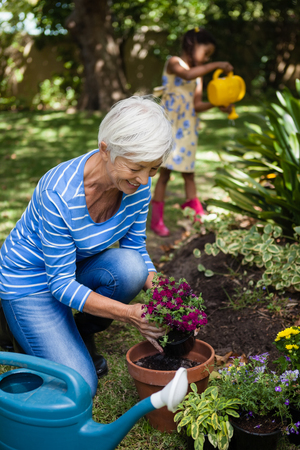 Smiling senior woman planting flowers while girl watering plants at backyardの写真素材