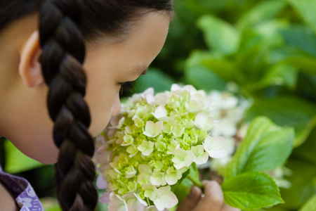 Cropped image of girl smelling white and green flowers at backyardの写真素材