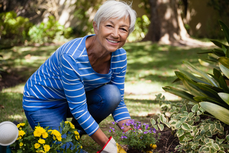Portrait of happy senior woman kneeling while planting flowers in backyardの写真素材