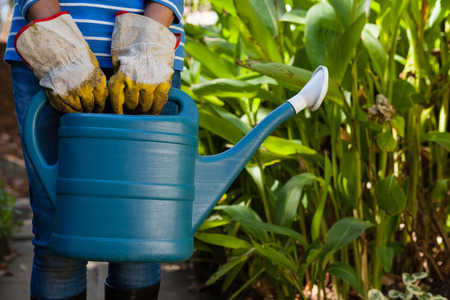Midsection of senior woman standing with watering can against plants at backyardの写真素材