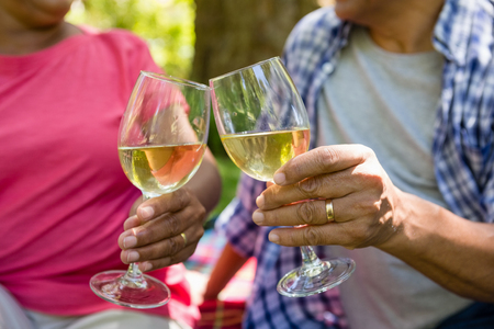 Mid-section of senior couple toasting wine glasses at the parkの写真素材