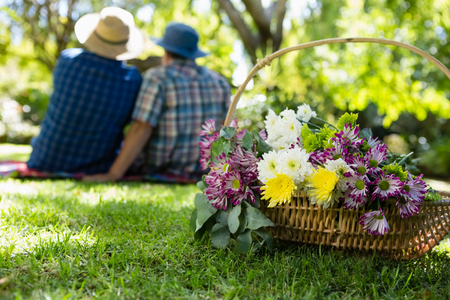 Rear view of senior couple taking a selfie in gardenの写真素材