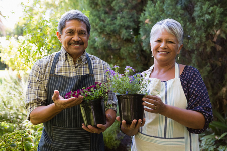Portrait of happy senior couple holding pot plant in gardenの写真素材