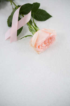 High angle view of pink Breast Cancer ribbon and rose on white backgroundの写真素材