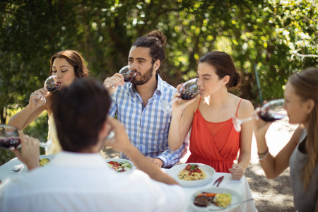 Group of friends drinking champagne in a restaurantの写真素材
