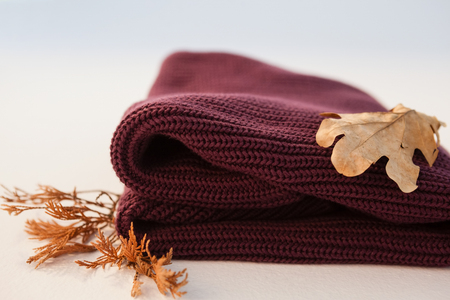 Woolen cloth with autumn leaves on white backgroundの写真素材