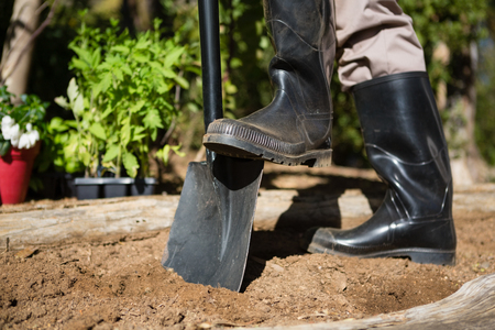 Low section of man standing with shovel in garden on a sunny dayの写真素材