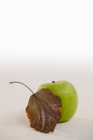 Close-up of green apple and autumn leaves against white backgroundの写真素材
