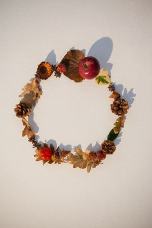 Overhead of autumn leaves and fruits arranged on white backgroundの写真素材