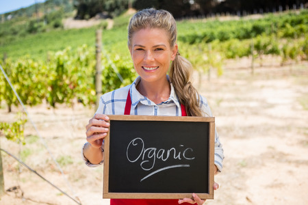 Portrait of happy woman holding slate with text in vineyard on a sunny dayの写真素材